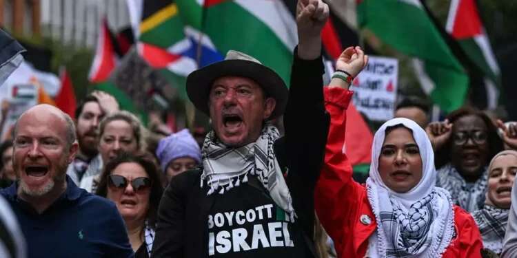 Irish protesters demonstrate against Israel in Dublin. Photo: AFP Conor McGregor vs. Hamas: 'Raising the flag of a terrorist organization must become a major crime'