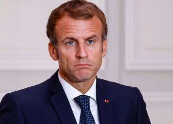 European leaders unite in sharp rebuke of Elon Musk