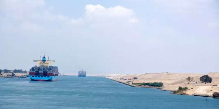 The battle for dominance under the sea