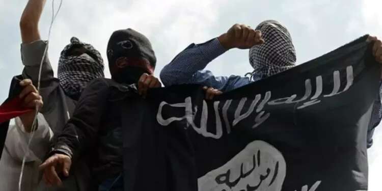 ISIS supporters (archive). Photo: AFP Israeli suspected of pledging allegiance to ISIS arrested