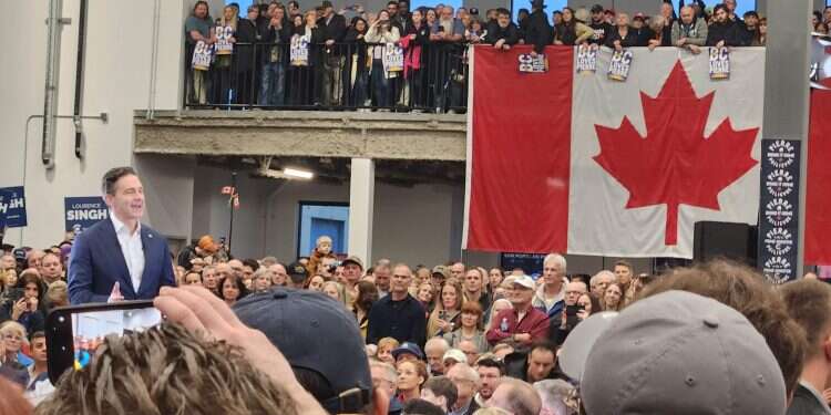 'Both Trump and liberals want Canadians to pay taxes'