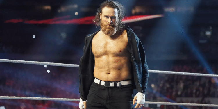 WWE star deletes antisemitic post after Israel Hayom inquiry