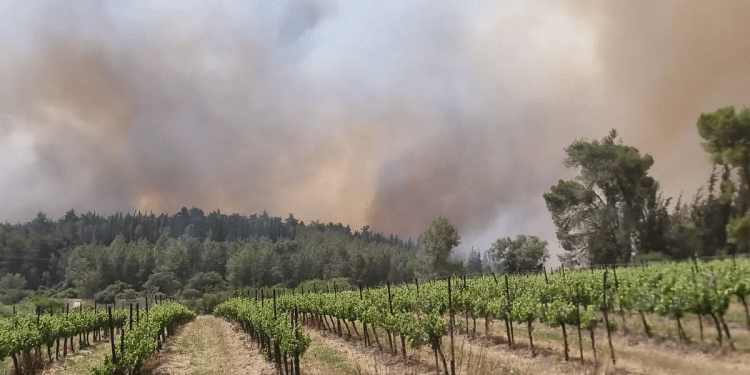 50 firefighting teams battle forest blaze near Jerusalem as residents evacuate