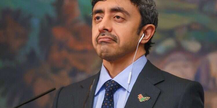 UAE FM: Get hostages out first, replace Hamas rule in Gaza