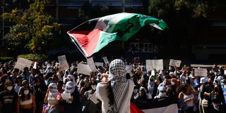 Students participate in a pro-Palestinian rally on the University of California, Los Angeles campus in Los Angeles, California, USA, November 8, 2023
'They smell like baby killers': Anonymous attacker targets Israelis in Los Angeles
