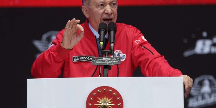 Turkish President Recep Tayyip Erdogan speaks during the Teknofest Aerospace and Technology Fair at the old Ercan Airport in the Turkish-administered part of Nicosia, Cyprus, May 3, 2025 'Neo-Ottoman aspirations, anti-Israel sentiment': Turkish expert critiques Erdogan's policies