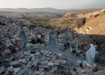 New details on the recovery of Zvi Feldman