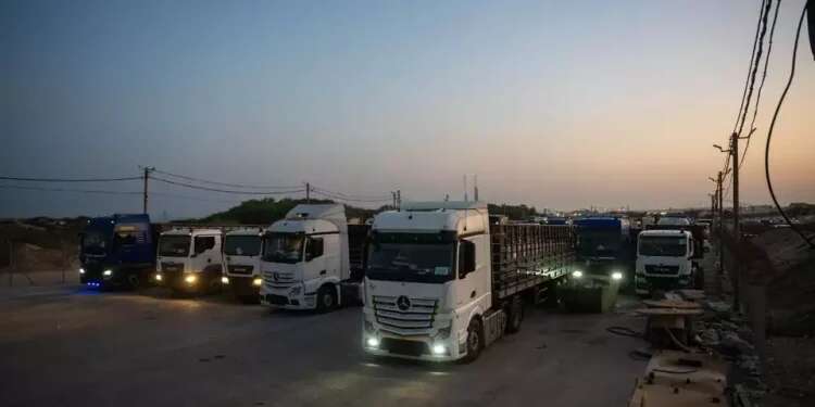 Contrary to claims, aid trucks with millions' worth of goods enter Gaza