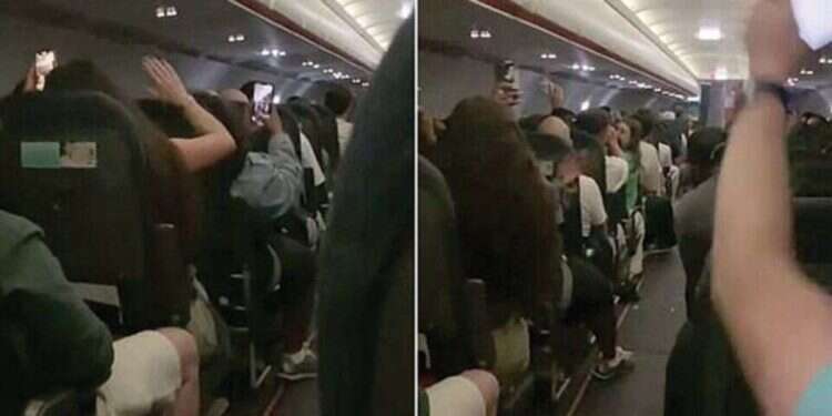 Drunk Brits unleash havoc on Ibiza-bound flight