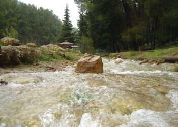 Celebrating Shavuot in nature: Best hiking spots for families