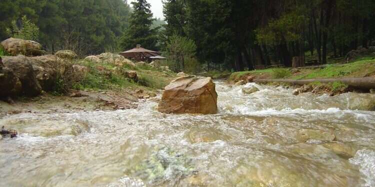 Celebrating Shavuot in nature: Best hiking spots for families