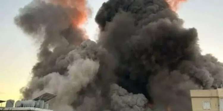 A southern Yemen offensive? 'The Houthis capitulated to Trump, it's a chance we cannot miss' 