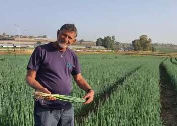 Israel's agriculture is desperate for a new generation