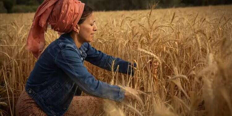 Shavuot 2025: Everything you need to know 