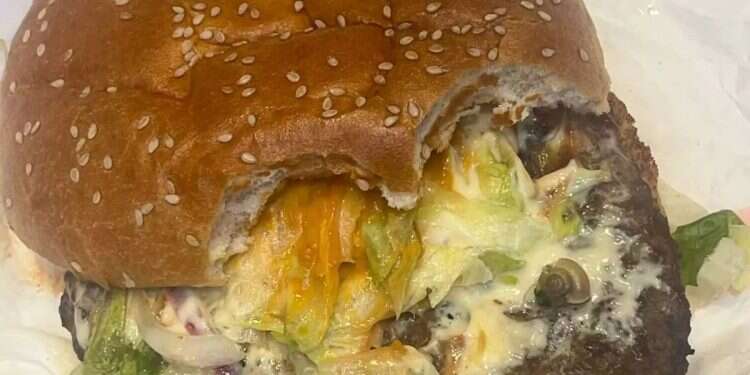 The hamburger with the snail, as shown by the customer in his social media post Shell shocked: Man finds snail in McDonald's hamburger