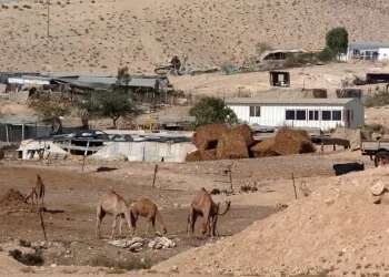 Why Bedouin settlements in the Negev are becoming ghost towns