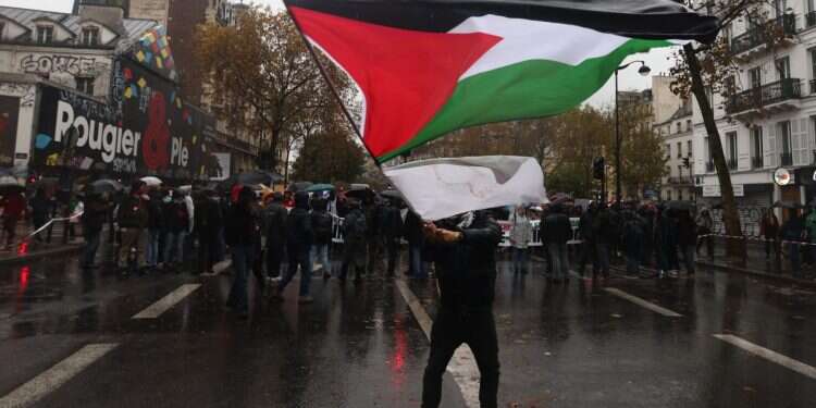 A man waves a Palestinian flag during a rally against Israel's military operation in Gaza, in Paris, France, November 18, 2023 Line between antisemitism, anti-Zionism is artificial, EU official says
