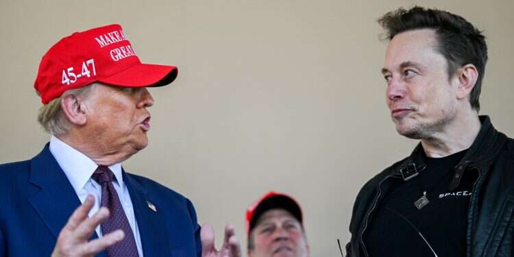 Elon Musk speaks with US President-elect Donald Trump at a viewing of the launch of the sixth test flight of the SpaceX Starship rocket in Brownsville, Texas, in 2024 Brandon Musk doesn't need Trump; he has a new friend