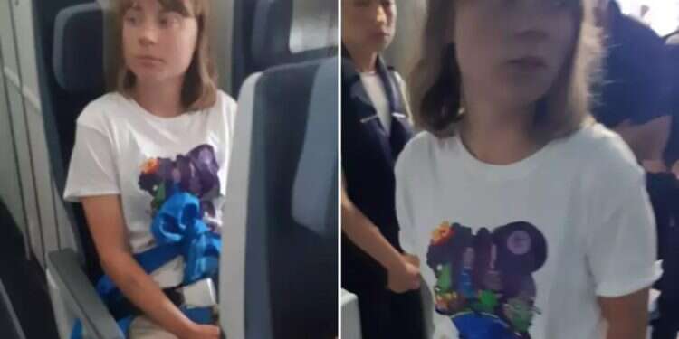 WATCH: Greta Thunberg sent on plane from Israel