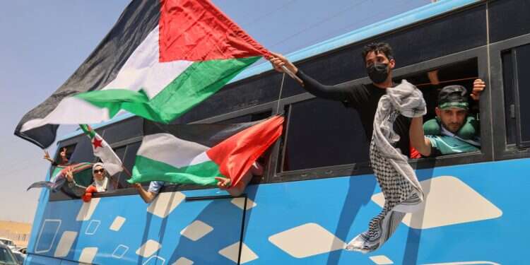 Which river, which sea: Pro-Palestinian activist confuses Rafah with Eilat