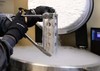 Israeli sperm donor's genetic mutation prompts urgent testing call