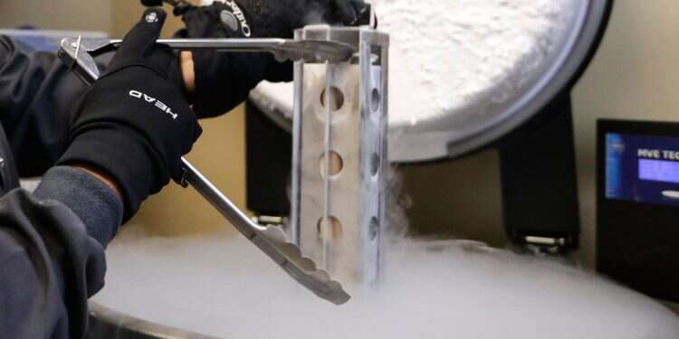 Israeli sperm donor's genetic mutation prompts urgent testing call