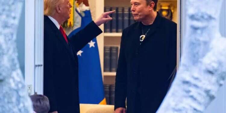 Musk: 'Trump is in the Epstein files'
