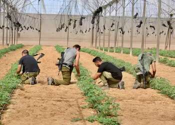 For the sake of Israeli agriculture