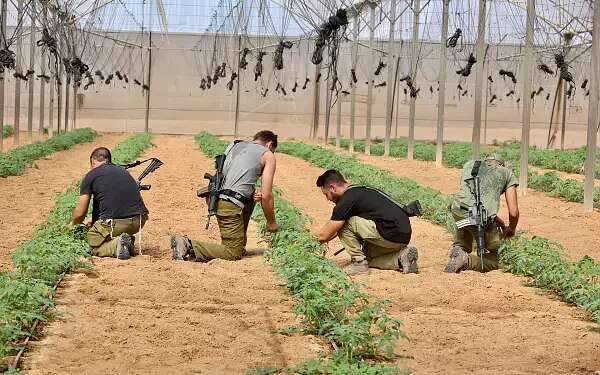 For the sake of Israeli agriculture