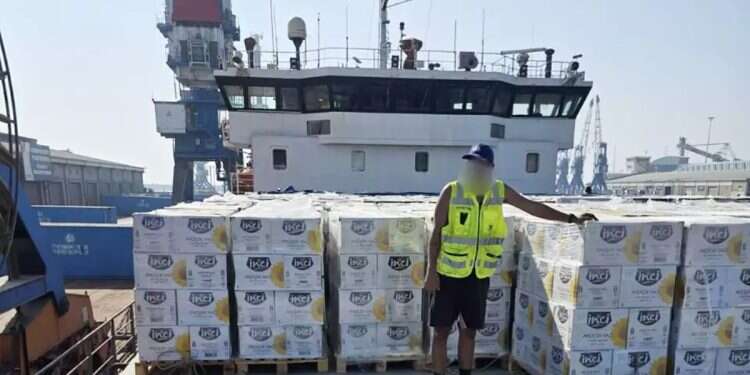Turkish aid sent to Gaza via Ashdod port
