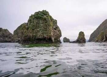 Tsunami warnings issued for California, Hawaii following powerful quake