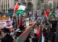 Pro-Palestinian demonstrations in New York. Photo: AFP Not a 'diplomatic tsunami,' but a long-term threat