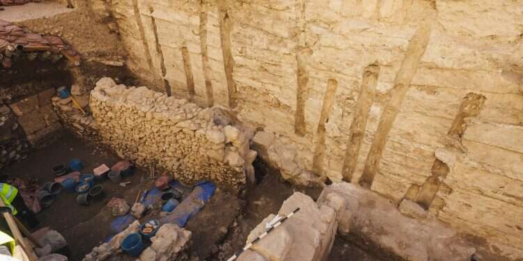 Rare coin shows Jewish rebels' shift from hope to desperation