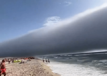Massive 'tsunami cloud' terrifies Portuguese beachgoers in viral video