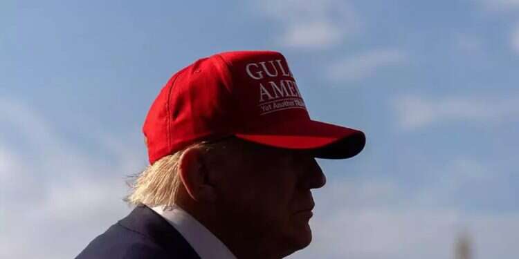 US President Donald Trump. Photo: AP Iranian group offers millions for assassinating Trump