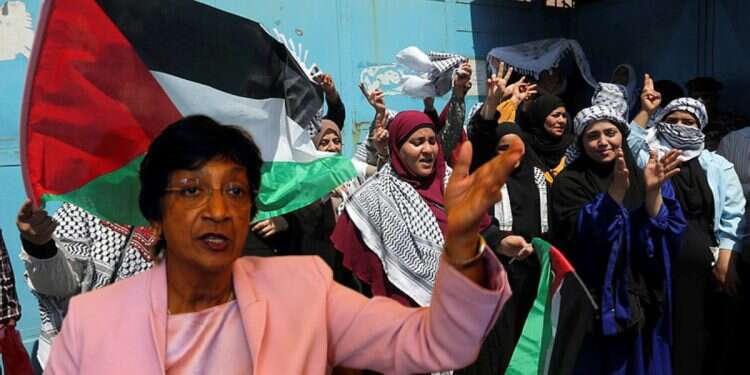 REVEALED: The real reason the UN's anti-Israel investigator quit