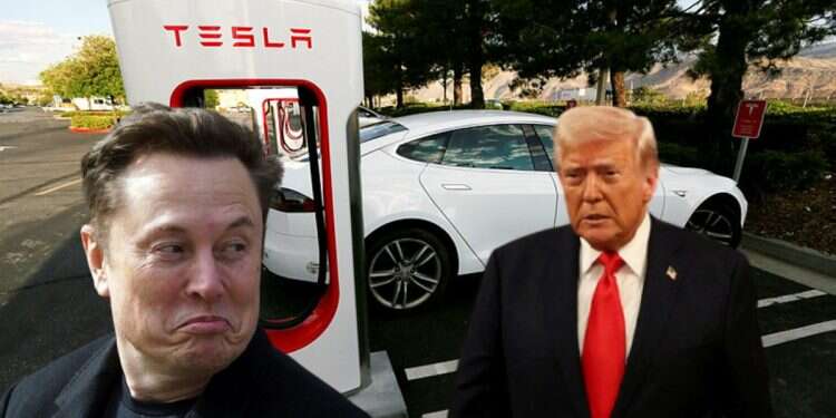 Trump to Musk: DOGE might come after you