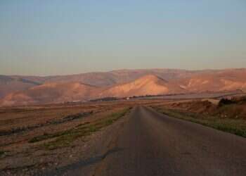 Israel orders emergency killing of 200 starving crocodiles