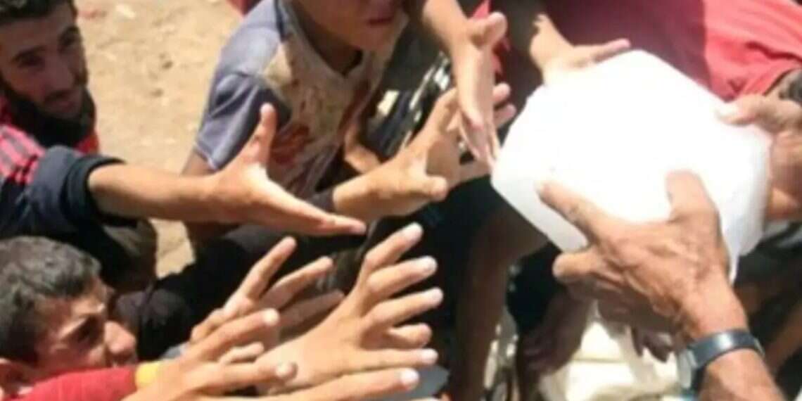 Price of Syria's 'White Gold' soars