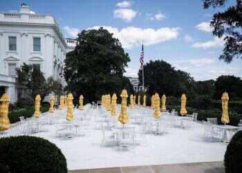 Trump solves White House vandalism whodunit