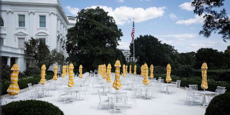 Trump solves White House vandalism whodunit