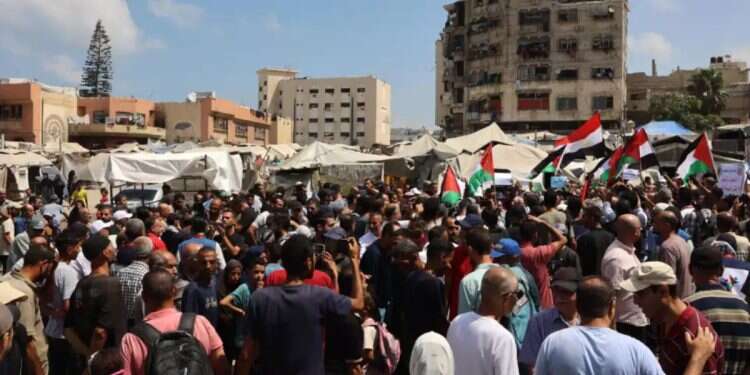 Gaza Strip, August 2025. Photo: AFP Israeli delegation expected in Cairo as dispute over Gaza deepens