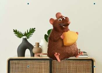 22-inch monster rat found in UK home