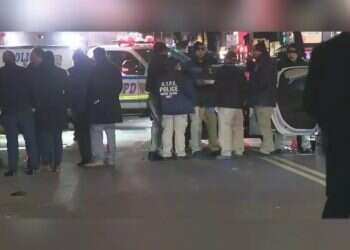 Crown Heights restaurant shooting; suspect flees