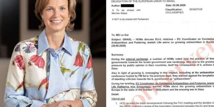 EU antisemitism coordinator faces ouster campaign after defending Israel