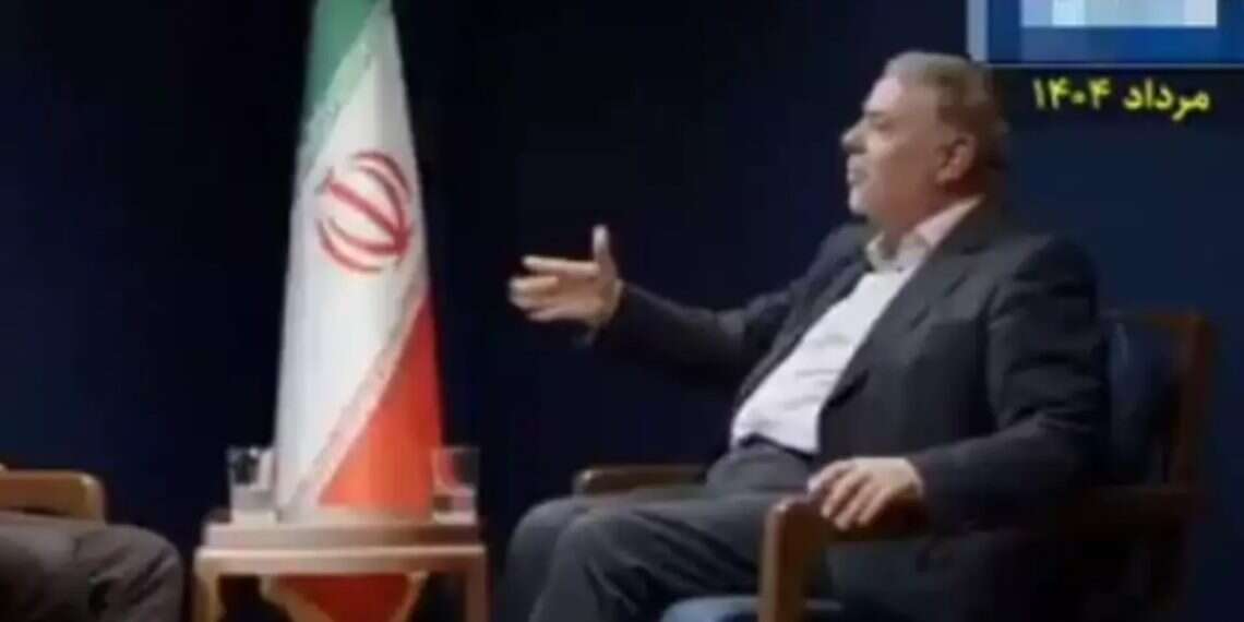 Senior Iranian official: Russia helped Israel strike our air defenses