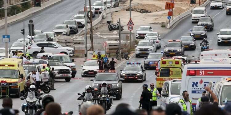 WATCH: Dashcam shows crowds flee highway gunmen