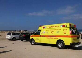 Israeli woman arrested after allegedly trying to drown mother-in-law at sea