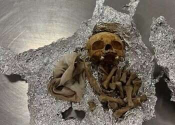 Human remains found in passenger's suitcase at Florida airport