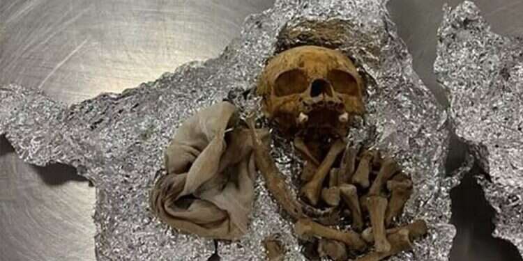 Human remains found in passenger's suitcase at Florida airport